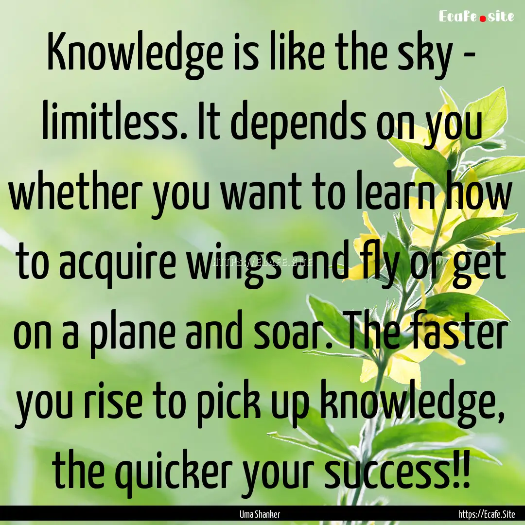 Knowledge is like the sky - limitless. It.... : Quote by Uma Shanker