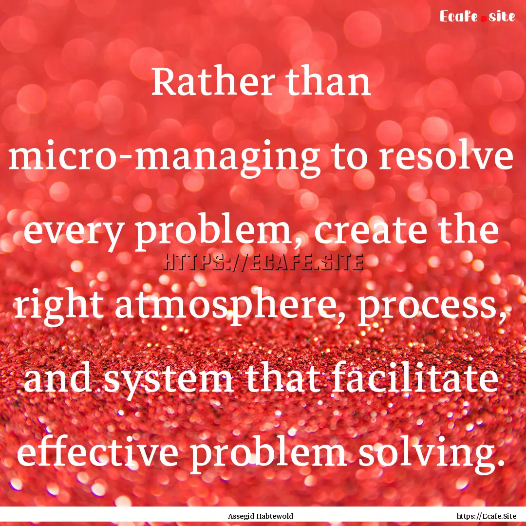 Rather than micro-managing to resolve every.... : Quote by Assegid Habtewold