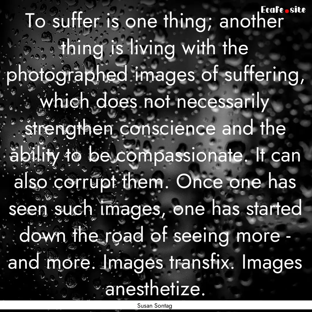 To suffer is one thing; another thing is.... : Quote by Susan Sontag