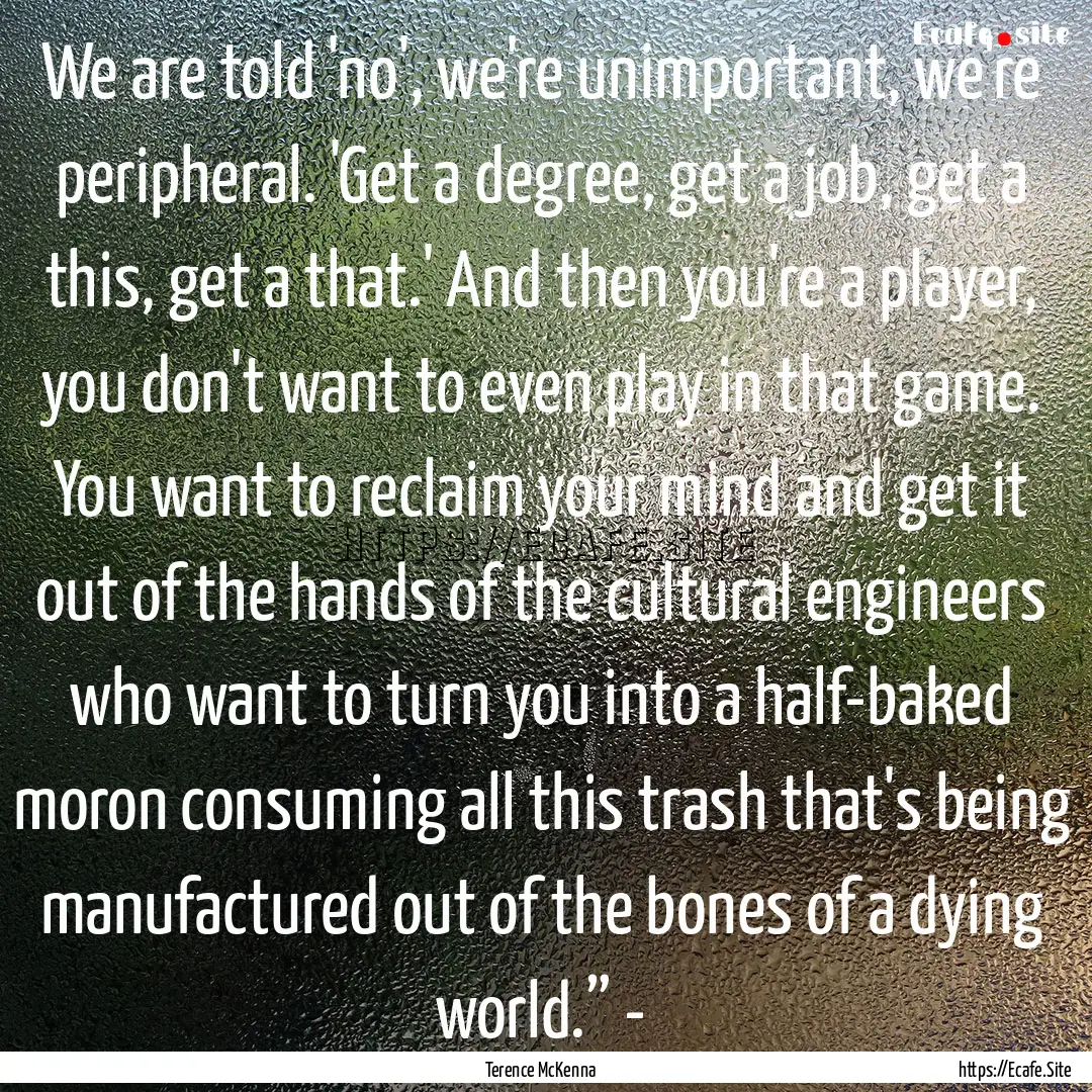 We are told 'no', we're unimportant, we're.... : Quote by Terence McKenna