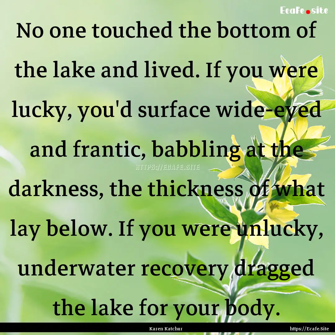 No one touched the bottom of the lake and.... : Quote by Karen Katchur