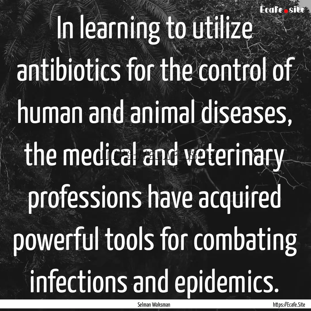 In learning to utilize antibiotics for the.... : Quote by Selman Waksman