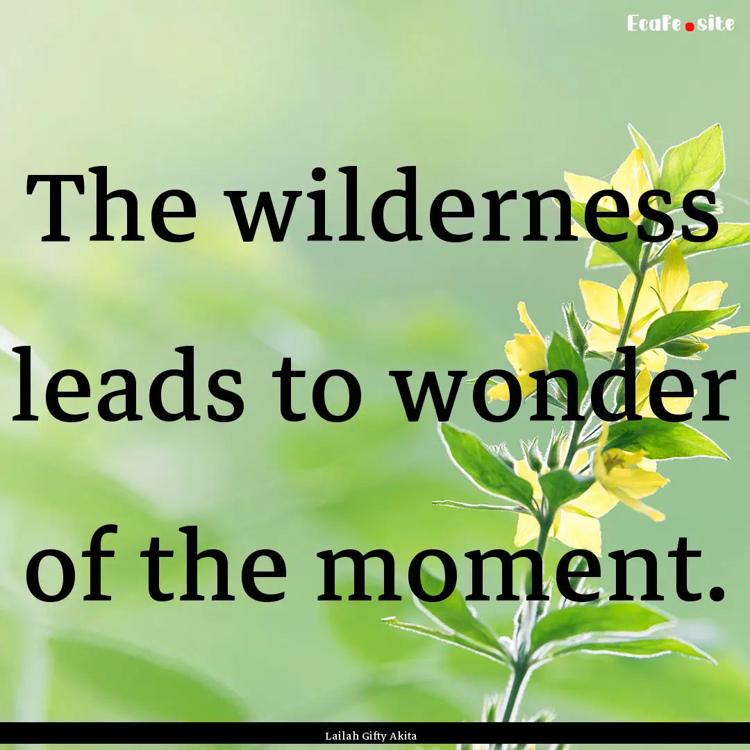 The wilderness leads to wonder of the moment..... : Quote by Lailah Gifty Akita