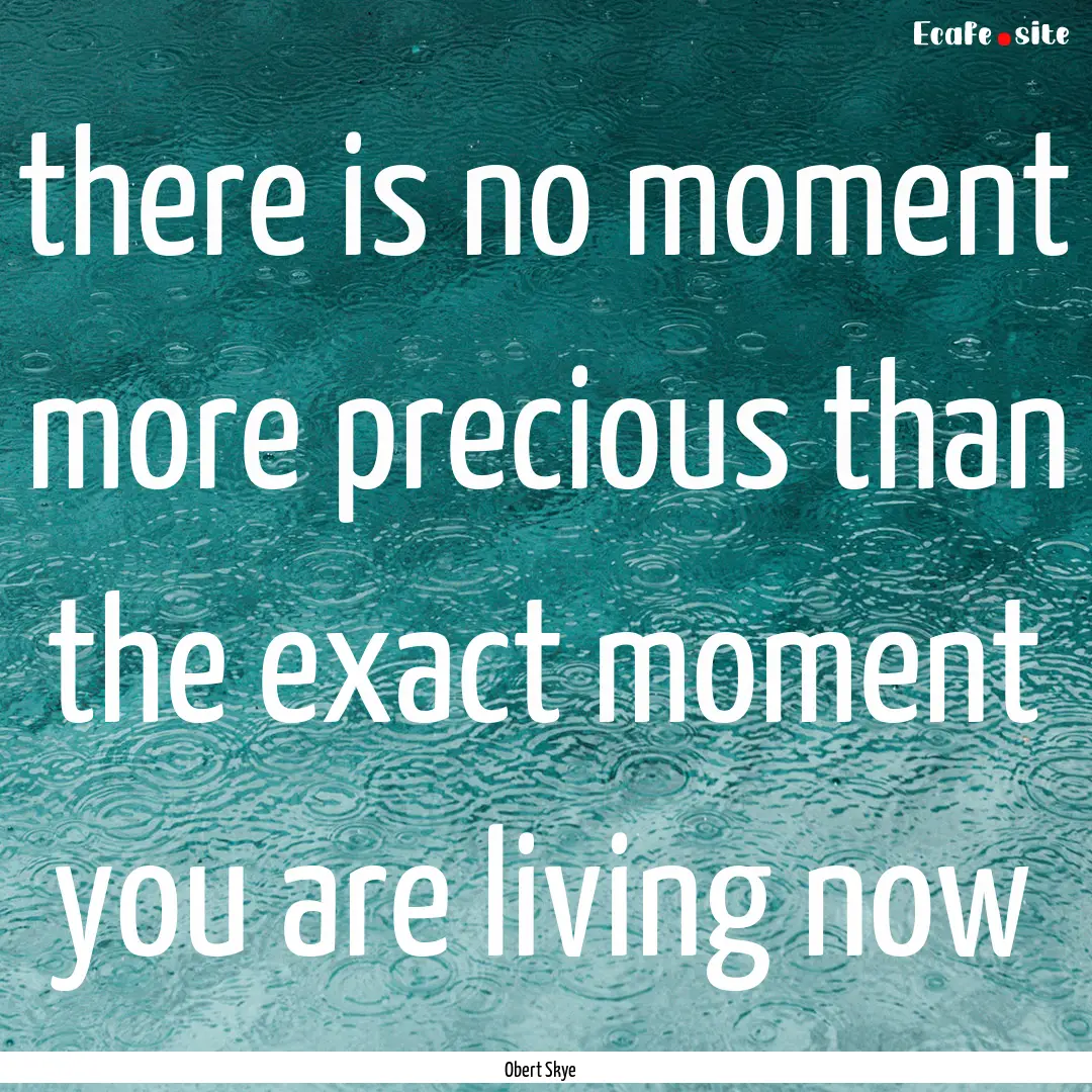 there is no moment more precious than the.... : Quote by Obert Skye