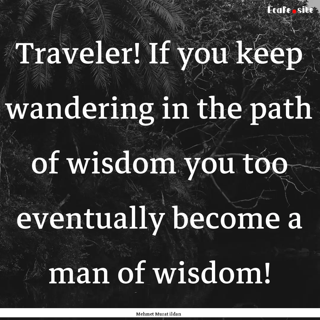 Traveler! If you keep wandering in the path.... : Quote by Mehmet Murat ildan