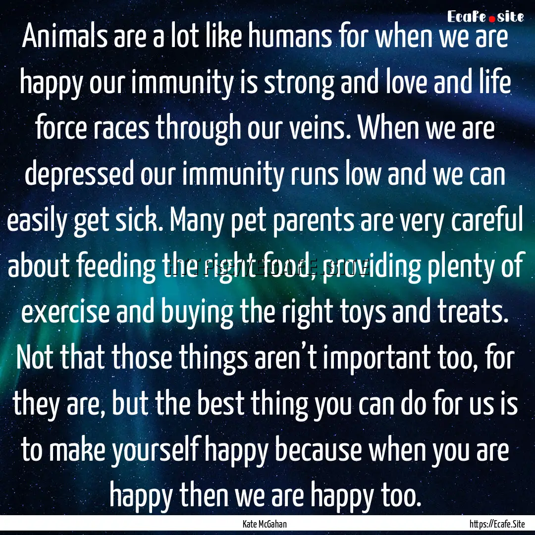 Animals are a lot like humans for when we.... : Quote by Kate McGahan