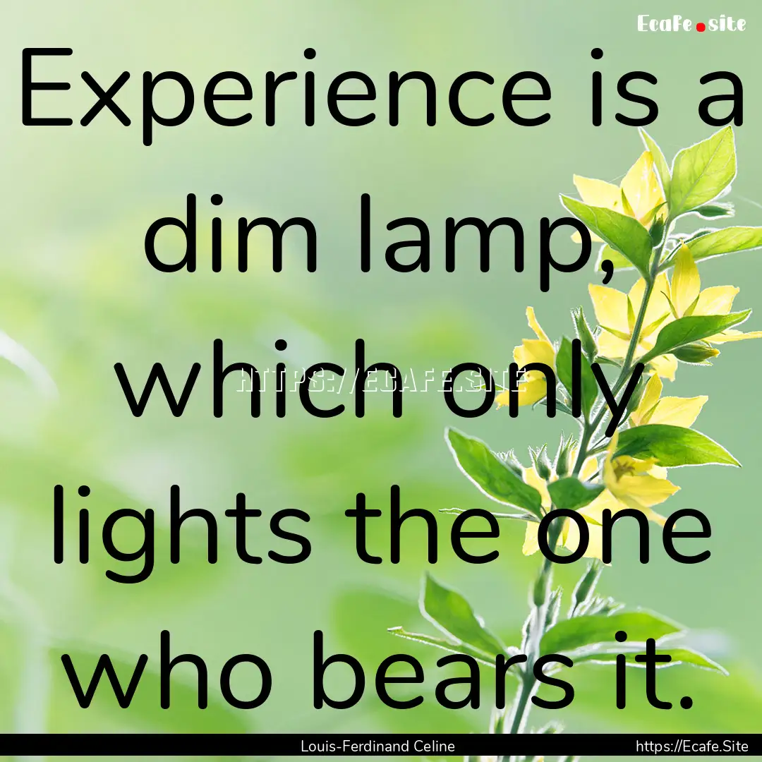 Experience is a dim lamp, which only lights.... : Quote by Louis-Ferdinand Celine