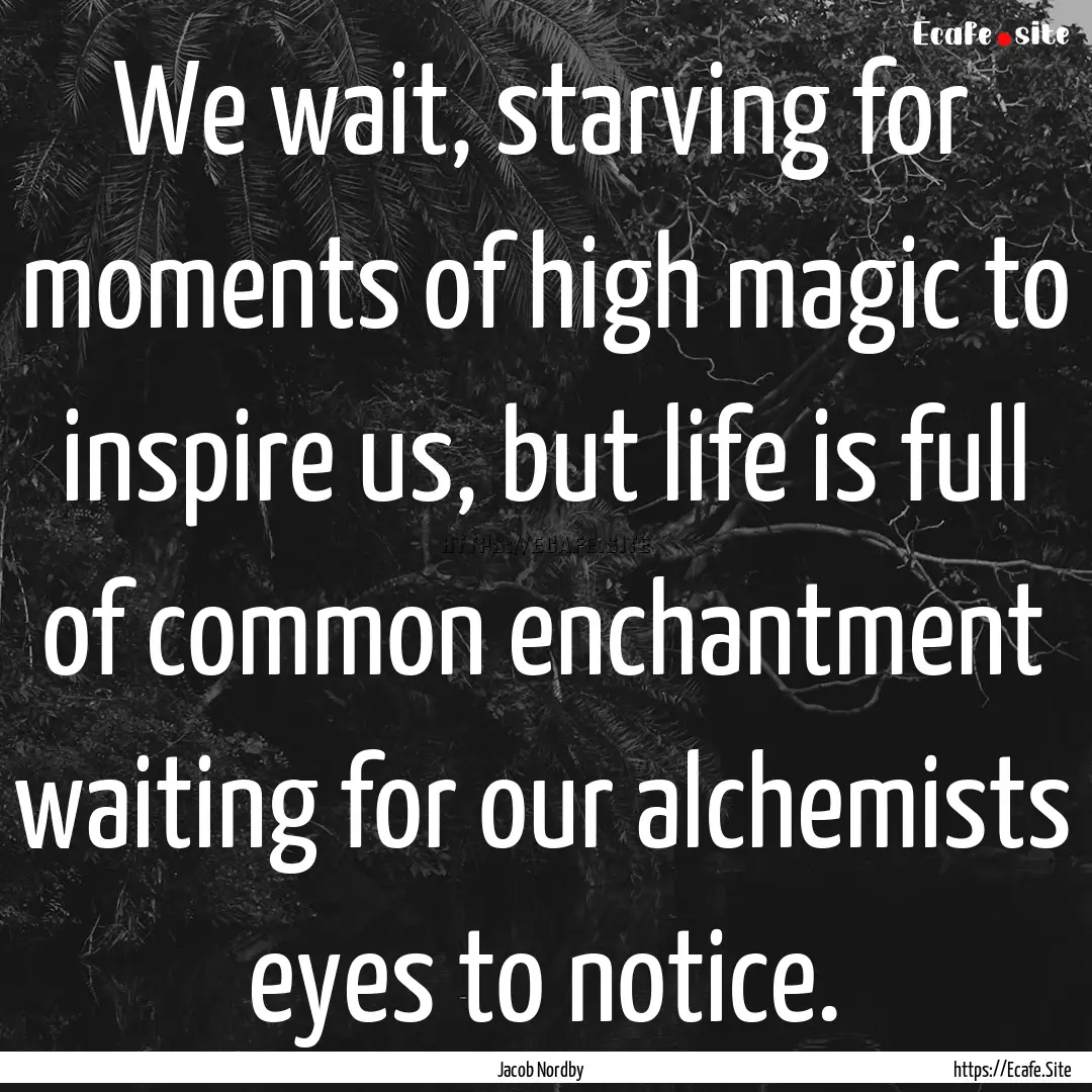 We wait, starving for moments of high magic.... : Quote by Jacob Nordby