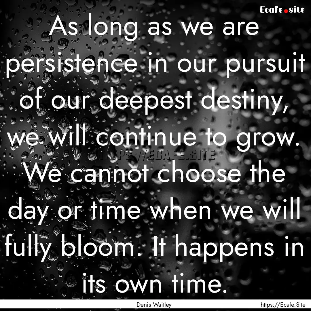 As long as we are persistence in our pursuit.... : Quote by Denis Waitley