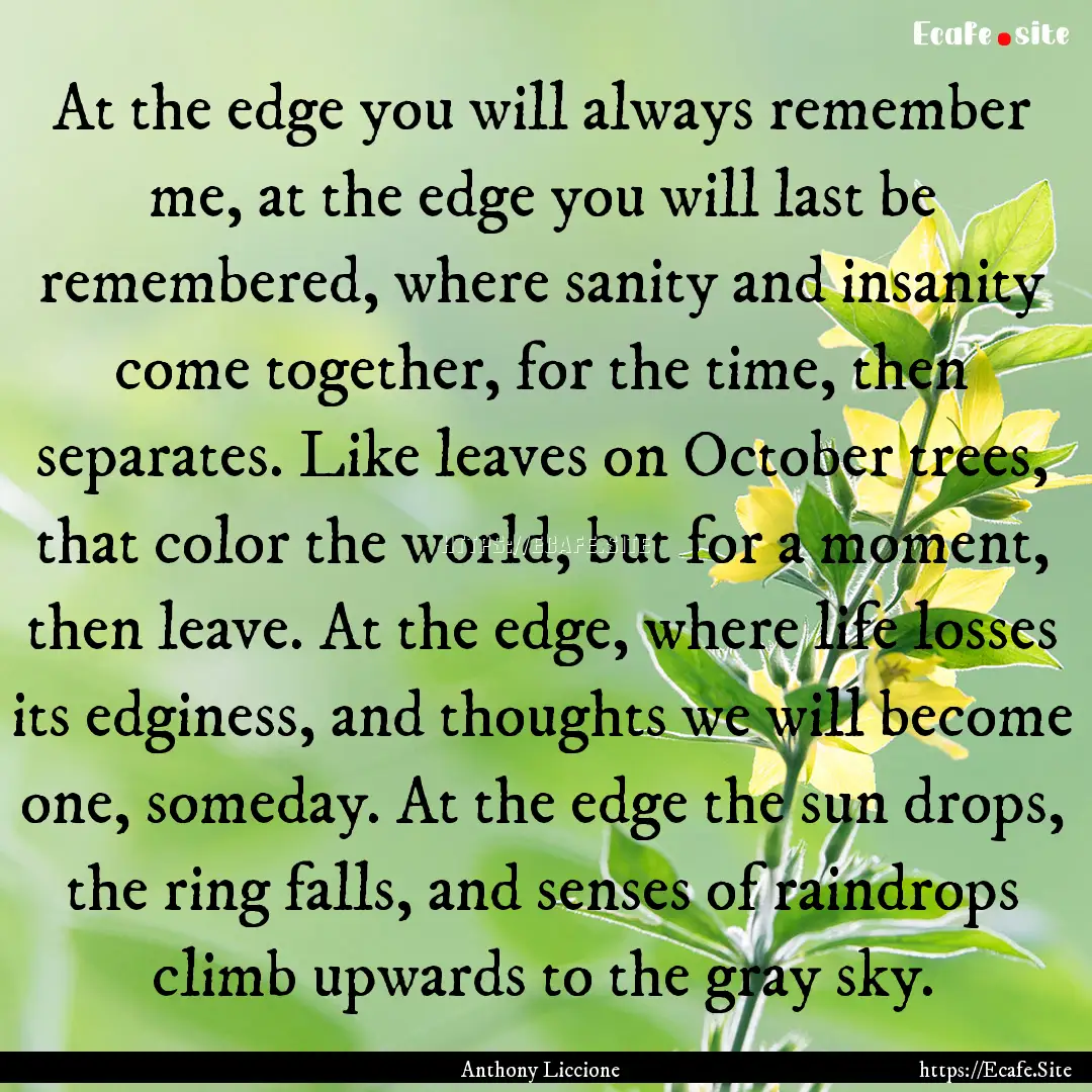 At the edge you will always remember me,.... : Quote by Anthony Liccione