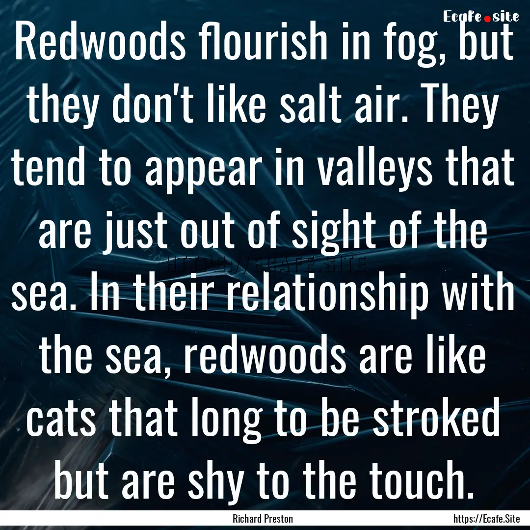 Redwoods flourish in fog, but they don't.... : Quote by Richard Preston