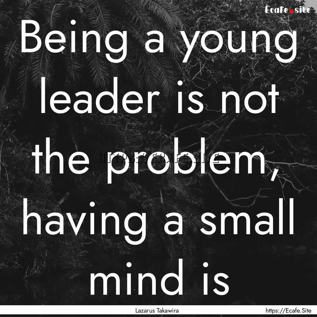 Being a young leader is not the problem,.... : Quote by Lazarus Takawira