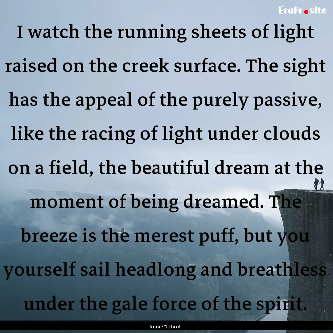 I watch the running sheets of light raised.... : Quote by Annie Dillard