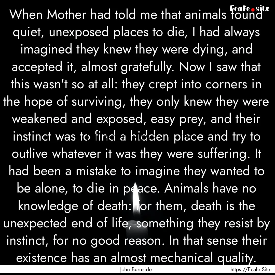 When Mother had told me that animals found.... : Quote by John Burnside