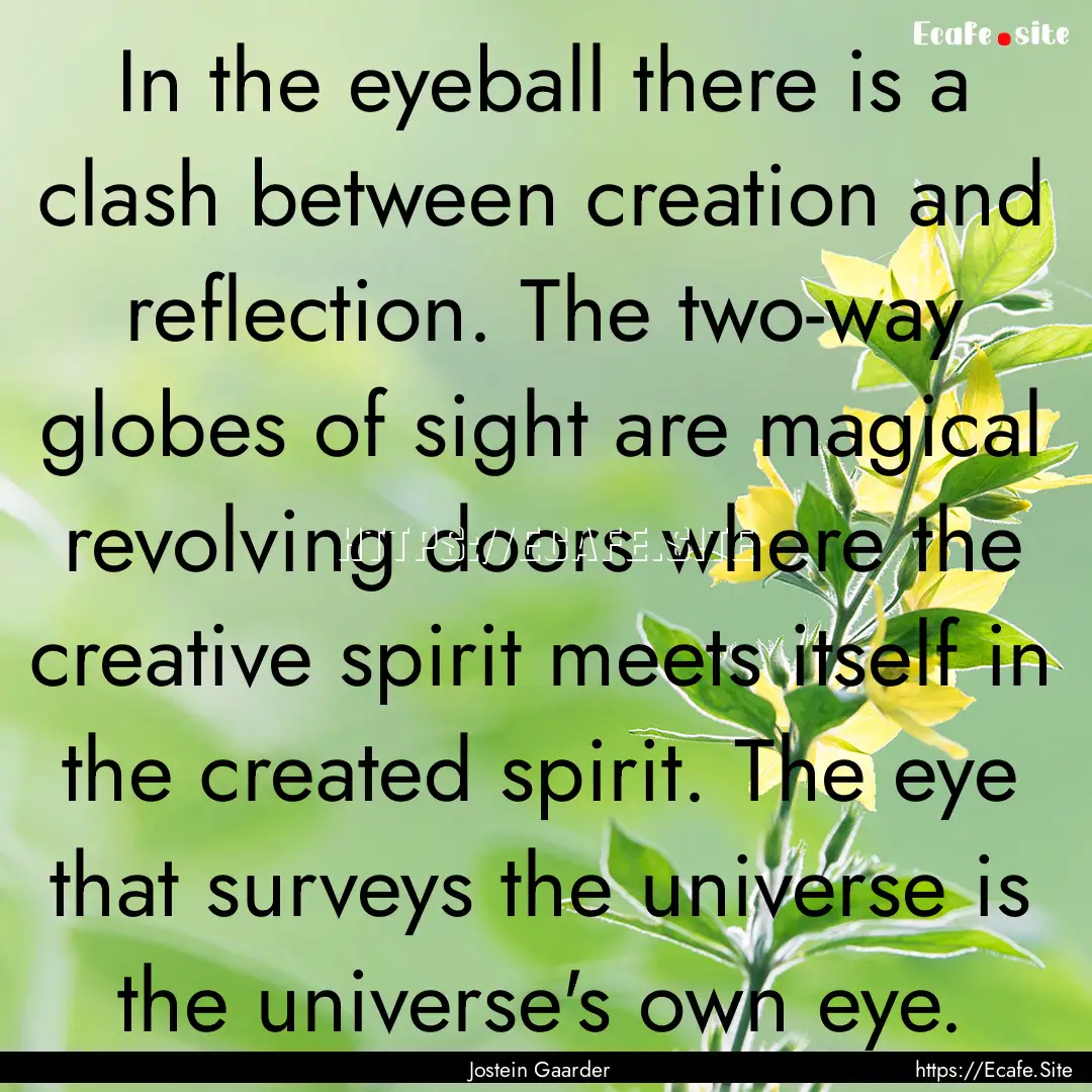 In the eyeball there is a clash between creation.... : Quote by Jostein Gaarder