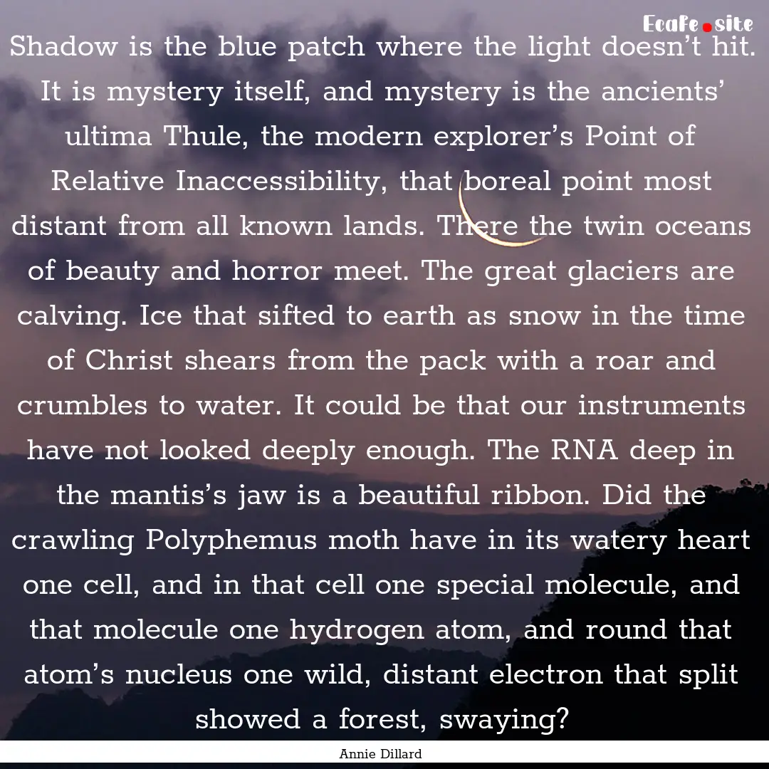 Shadow is the blue patch where the light.... : Quote by Annie Dillard