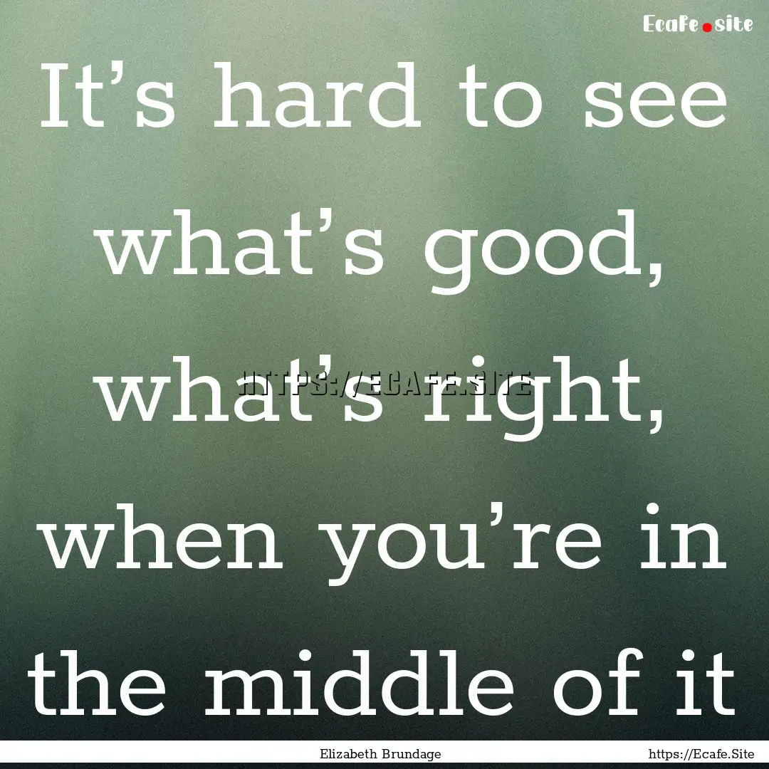 It’s hard to see what’s good, what’s.... : Quote by Elizabeth Brundage