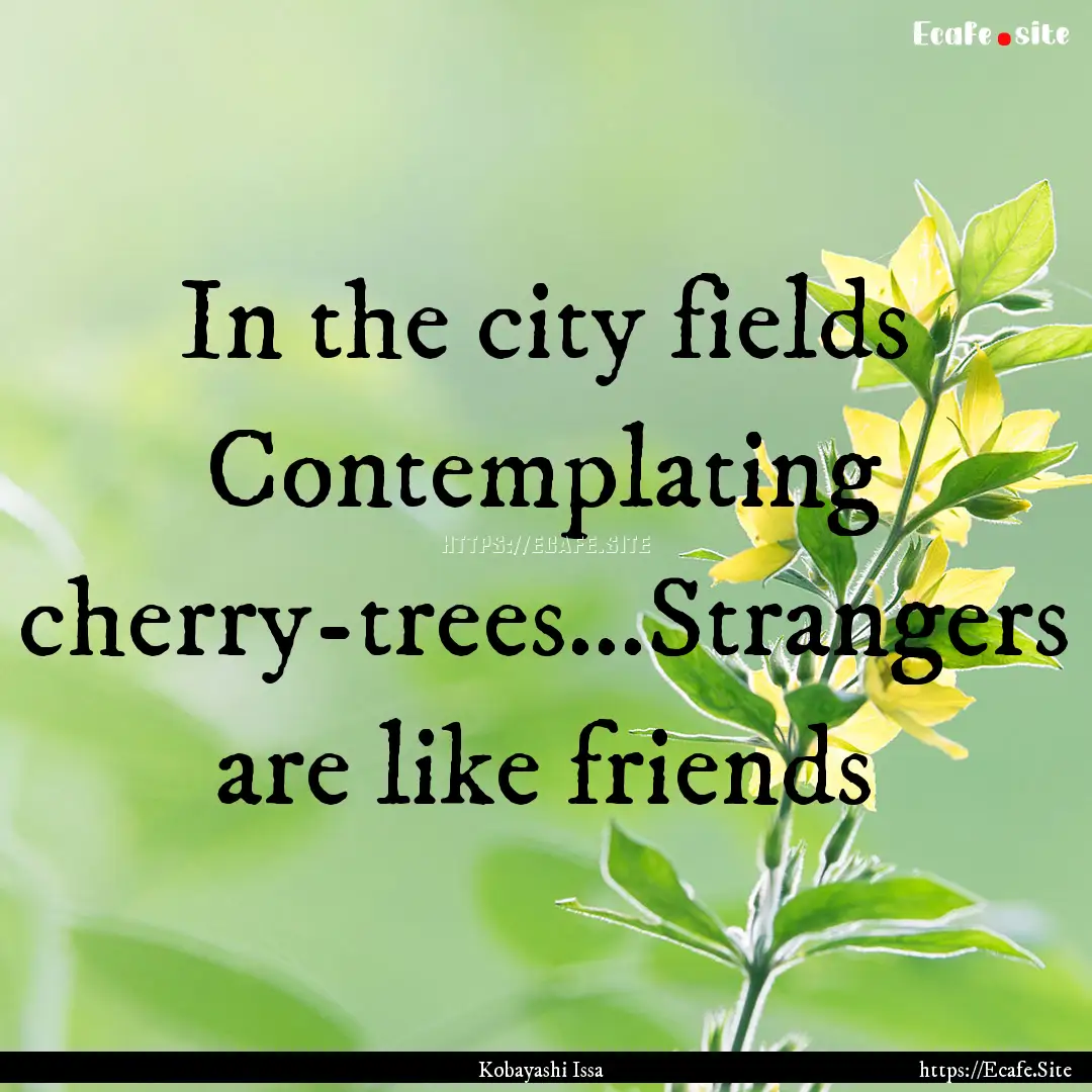 In the city fields Contemplating cherry-trees...Strangers.... : Quote by Kobayashi Issa