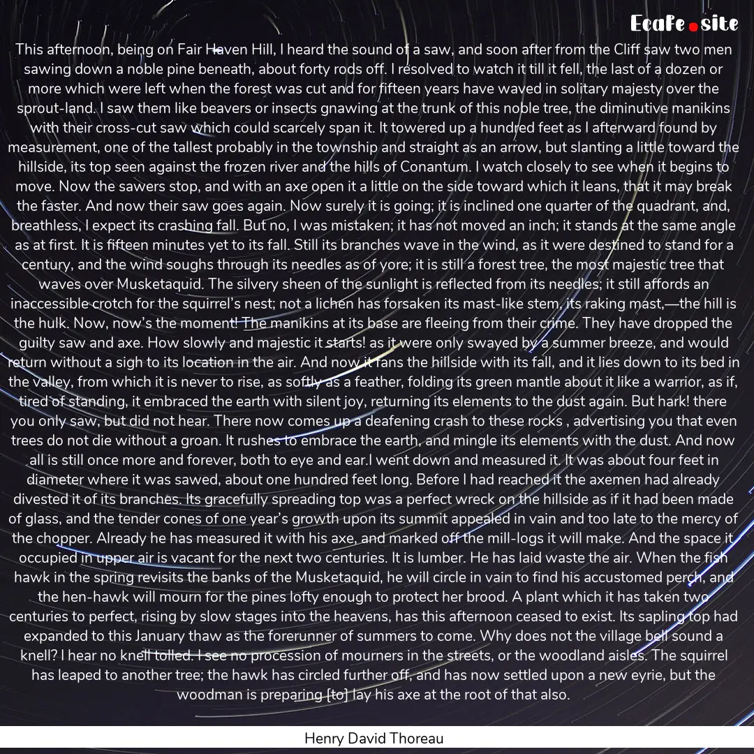 This afternoon, being on Fair Haven Hill,.... : Quote by Henry David Thoreau