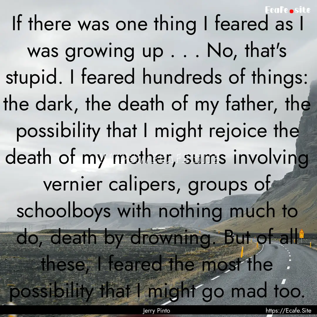 If there was one thing I feared as I was.... : Quote by Jerry Pinto