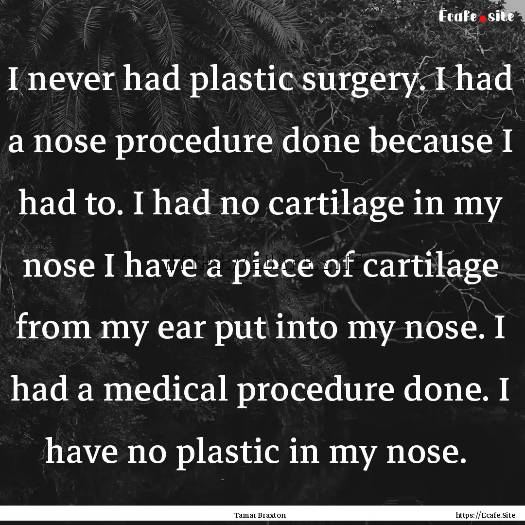 I never had plastic surgery. I had a nose.... : Quote by Tamar Braxton