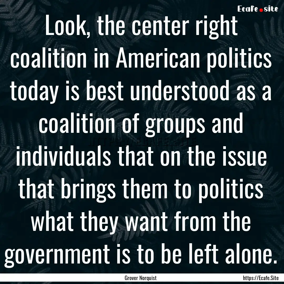 Look, the center right coalition in American.... : Quote by Grover Norquist