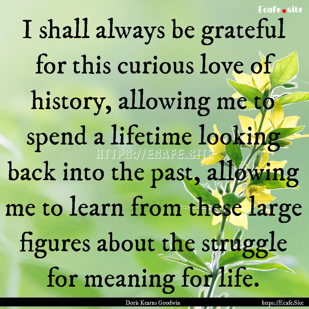 I shall always be grateful for this curious.... : Quote by Doris Kearns Goodwin