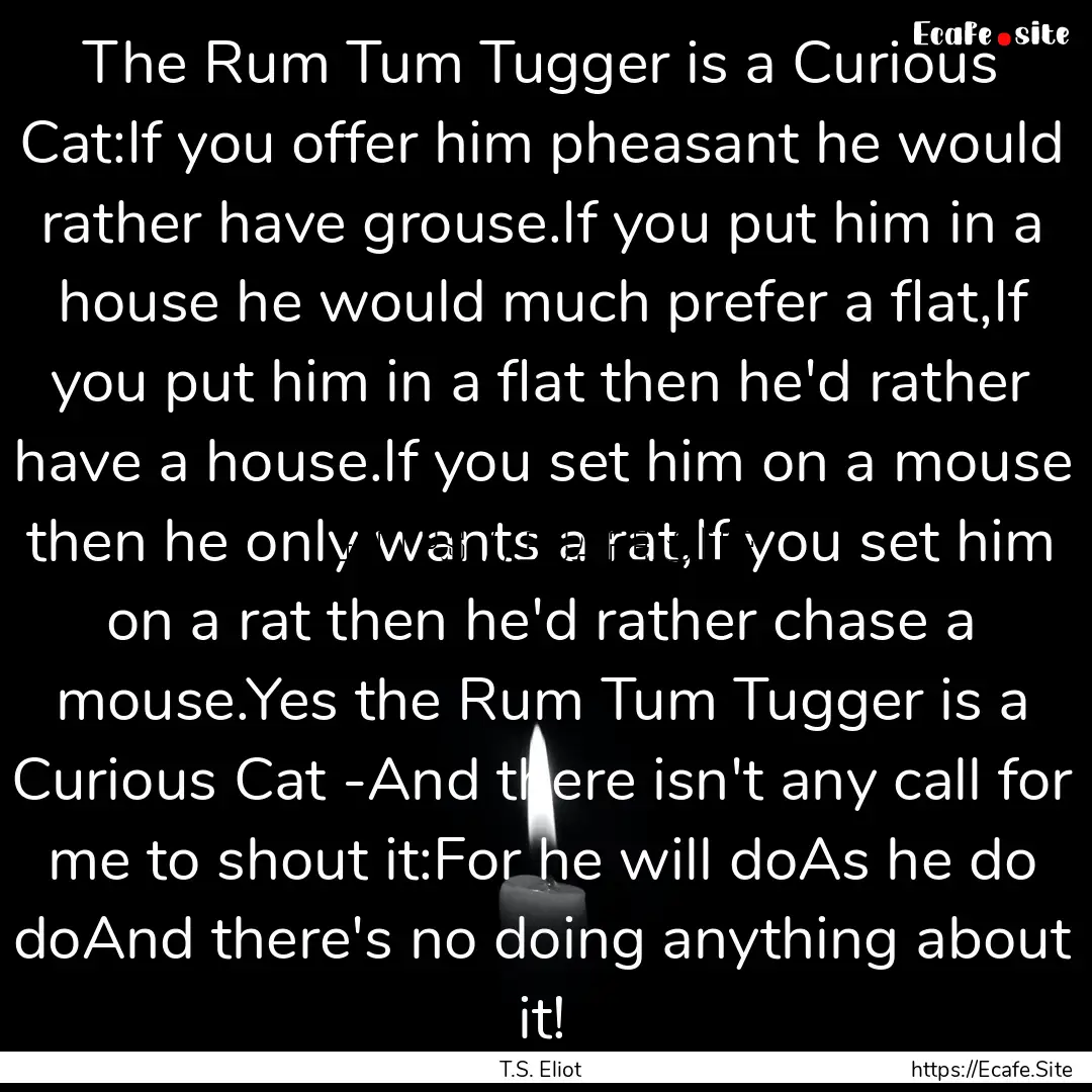 The Rum Tum Tugger is a Curious Cat:If you.... : Quote by T.S. Eliot