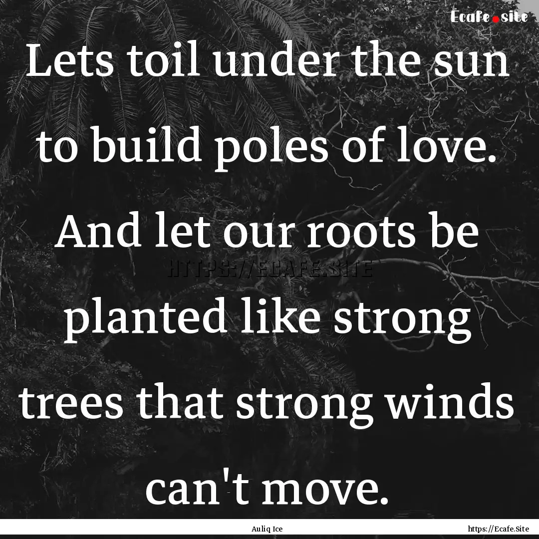 Lets toil under the sun to build poles of.... : Quote by Auliq Ice