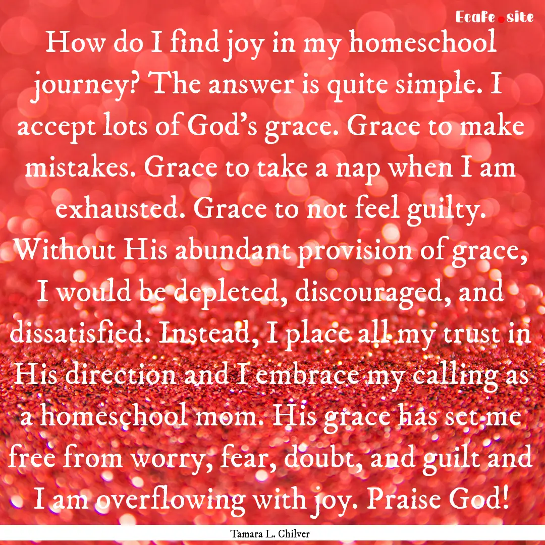 How do I find joy in my homeschool journey?.... : Quote by Tamara L. Chilver