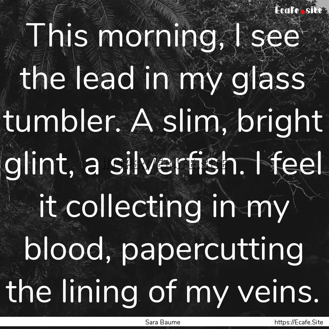 This morning, I see the lead in my glass.... : Quote by Sara Baume