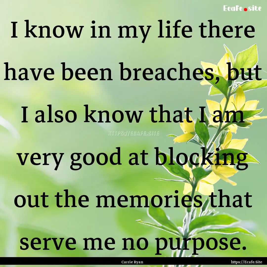 I know in my life there have been breaches,.... : Quote by Carrie Ryan