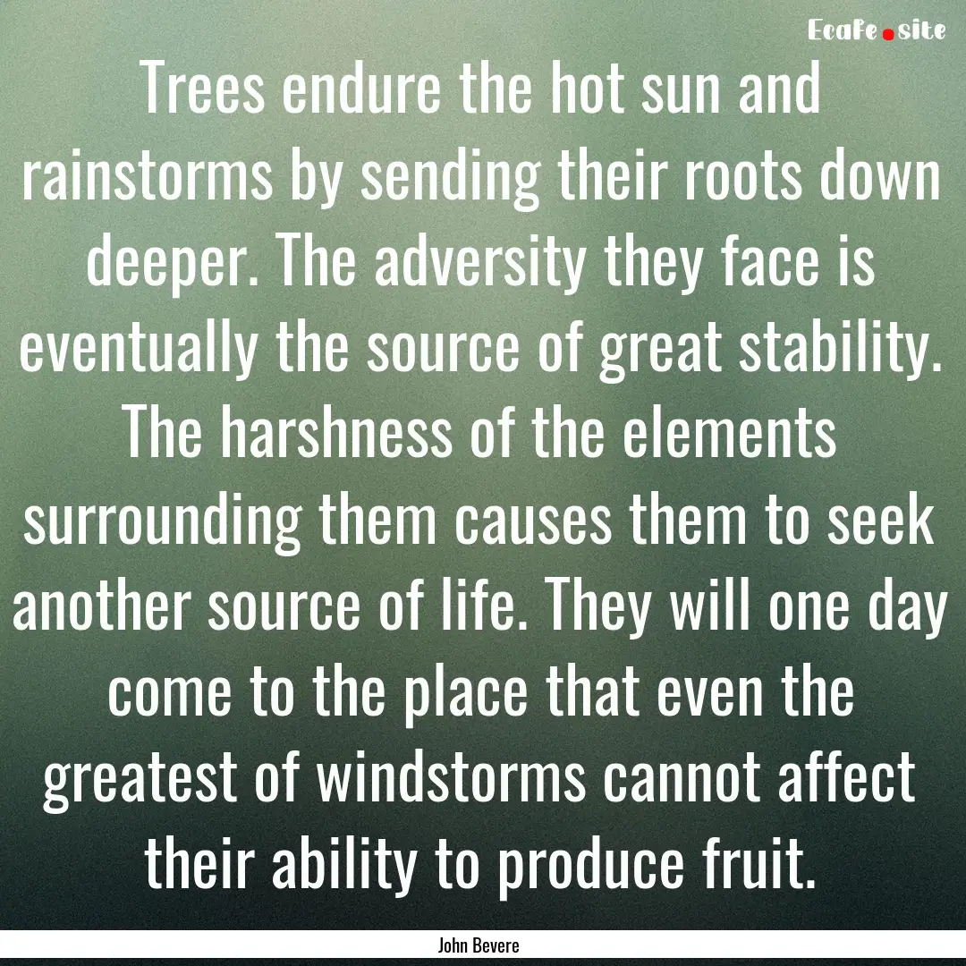 Trees endure the hot sun and rainstorms by.... : Quote by John Bevere