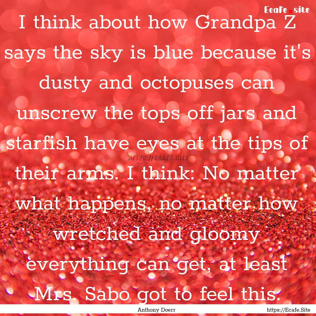 I think about how Grandpa Z says the sky.... : Quote by Anthony Doerr