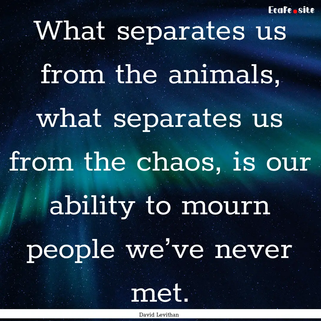 What separates us from the animals, what.... : Quote by David Levithan