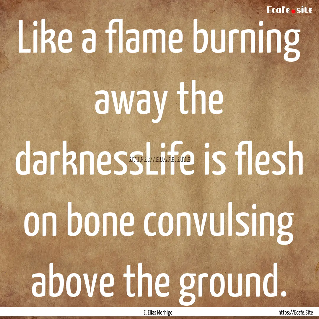 Like a flame burning away the darknessLife.... : Quote by E. Elias Merhige