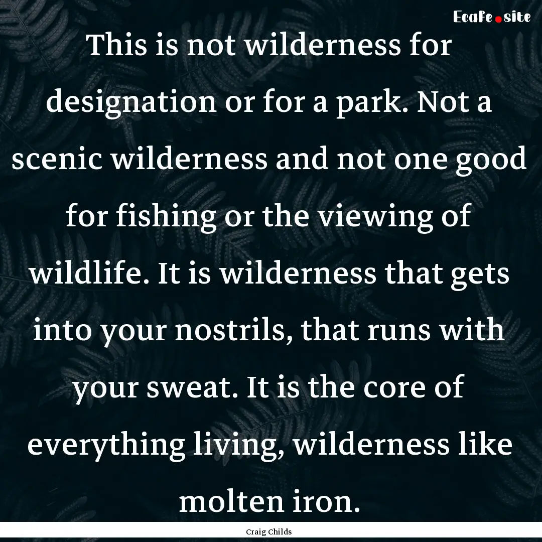 This is not wilderness for designation or.... : Quote by Craig Childs