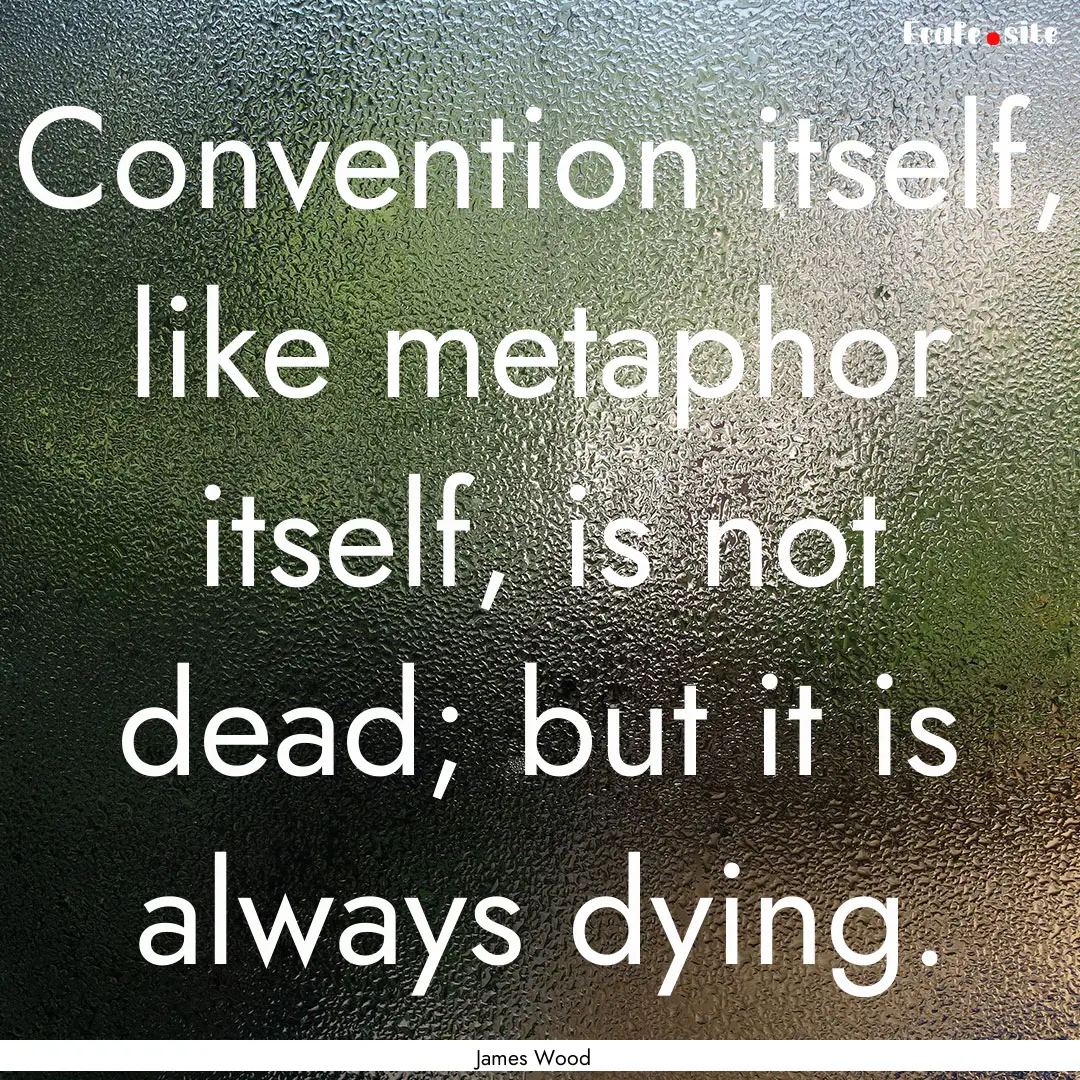 Convention itself, like metaphor itself,.... : Quote by James Wood