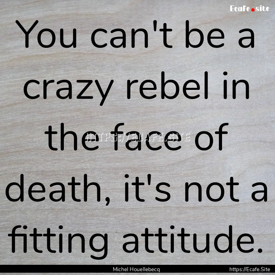 You can't be a crazy rebel in the face of.... : Quote by Michel Houellebecq