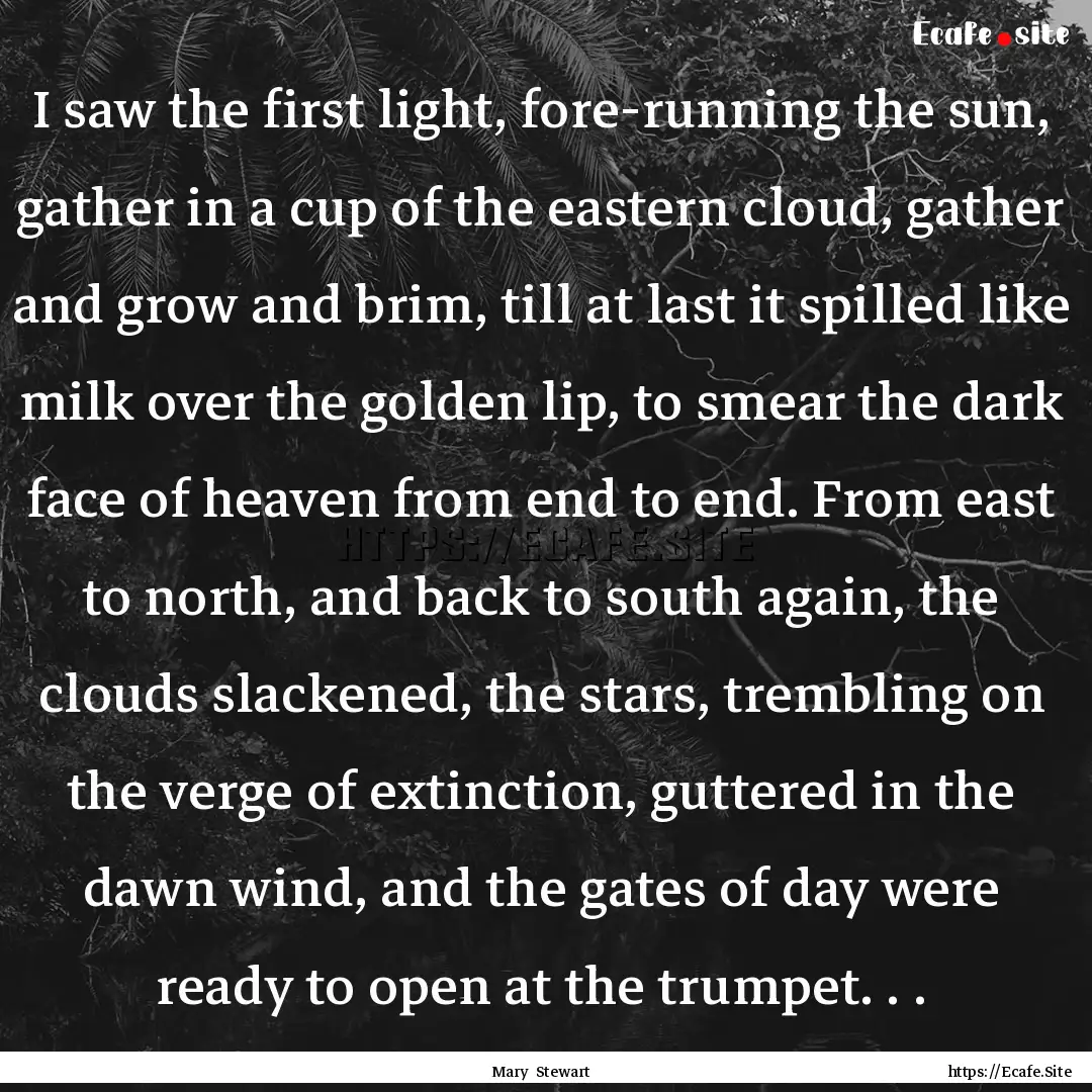 I saw the first light, fore-running the sun,.... : Quote by Mary Stewart