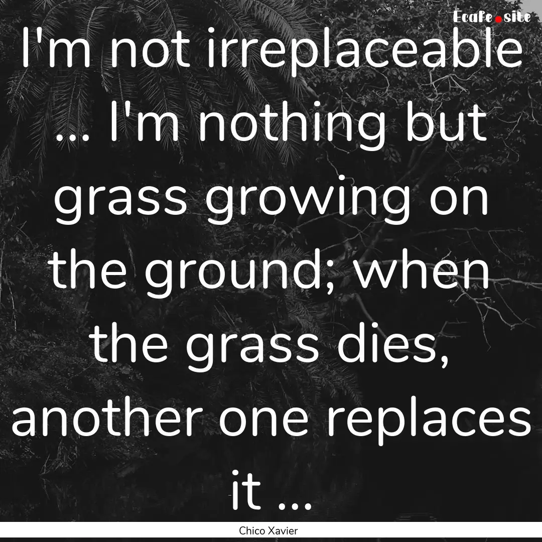 I'm not irreplaceable ... I'm nothing but.... : Quote by Chico Xavier