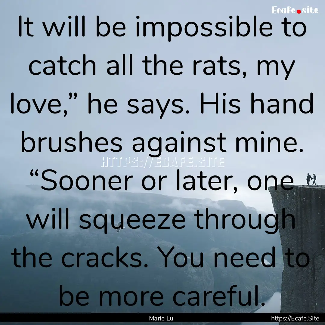 It will be impossible to catch all the rats,.... : Quote by Marie Lu