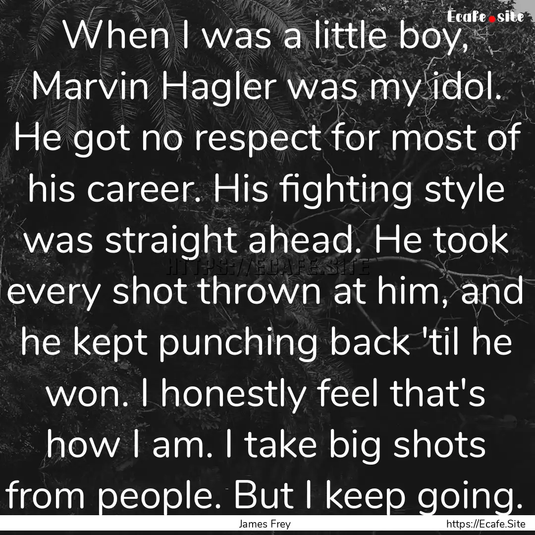 When I was a little boy, Marvin Hagler was.... : Quote by James Frey