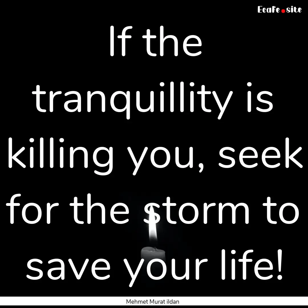 If the tranquillity is killing you, seek.... : Quote by Mehmet Murat ildan