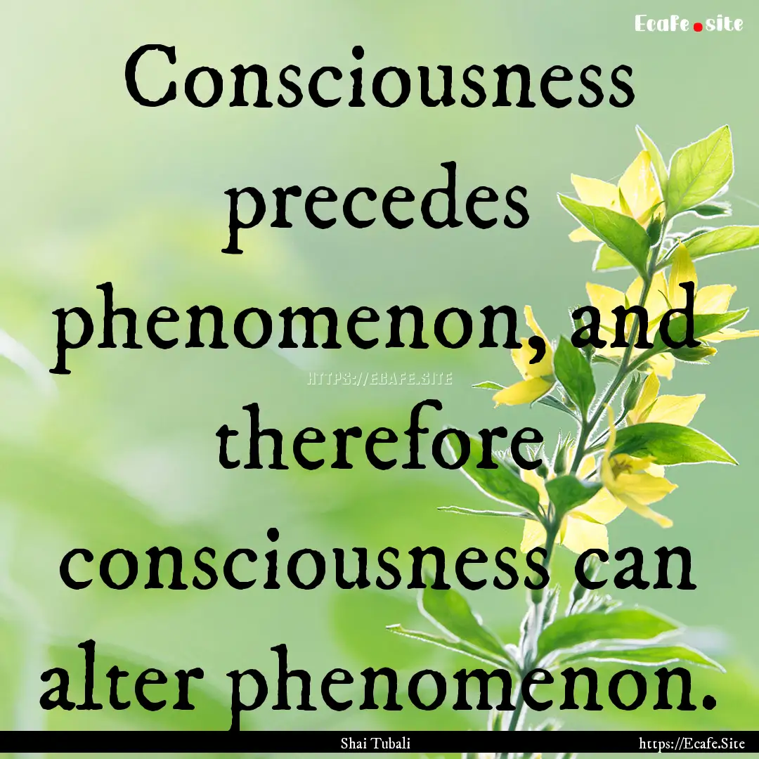 Consciousness precedes phenomenon, and therefore.... : Quote by Shai Tubali