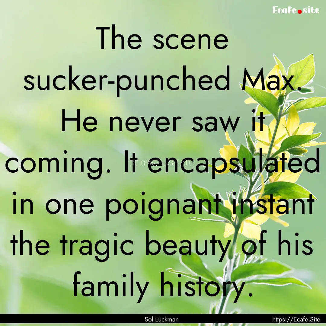 The scene sucker-punched Max. He never saw.... : Quote by Sol Luckman