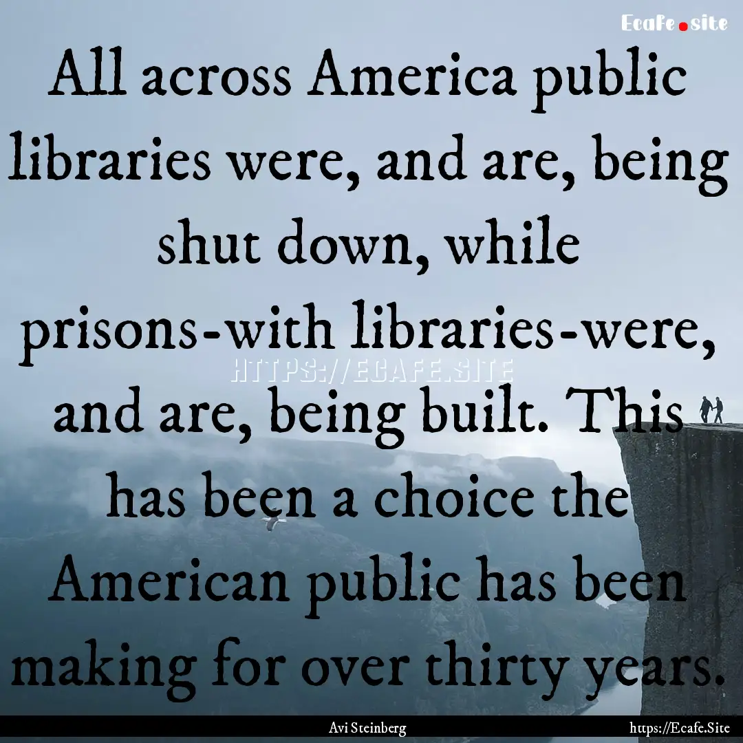 All across America public libraries were,.... : Quote by Avi Steinberg