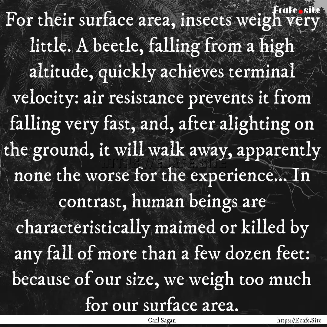 For their surface area, insects weigh very.... : Quote by Carl Sagan