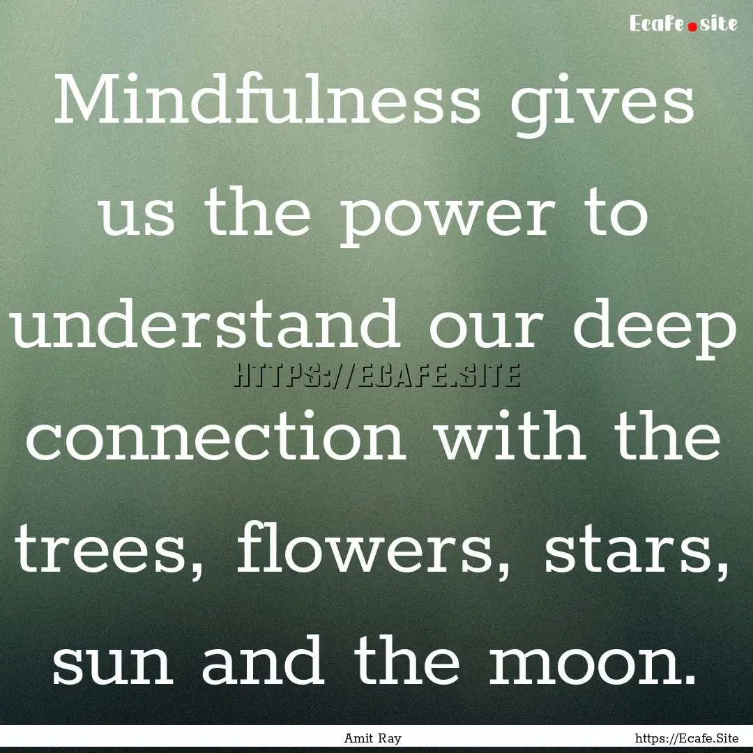 Mindfulness gives us the power to understand.... : Quote by Amit Ray