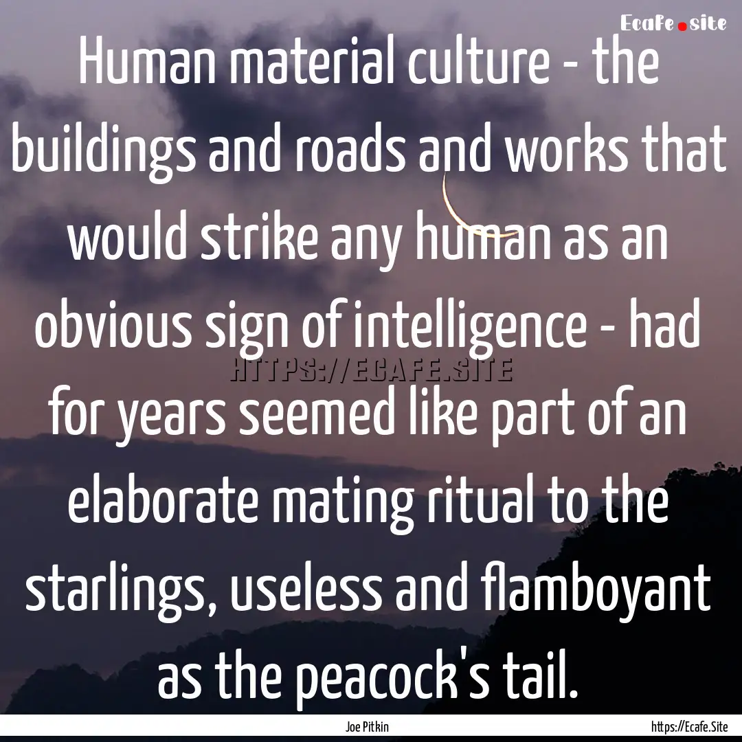 Human material culture - the buildings and.... : Quote by Joe Pitkin